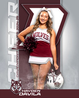 DHS_JV_CH_IND1-36