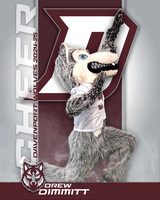 DHS_VAR_CH_IND1-28