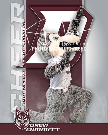 DHS_VAR_CH_IND1-28