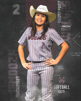 DHS_SB_V_Ind2-87