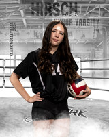 CHS_JV_VB_IND1-43