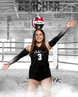 CHS_VAR_VB_IND1-83