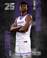 WHS_BB_Var_Ind-24