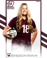 DHS_9th_VB_IND2-36