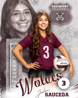 DHS_VB_9th_Ind2-3