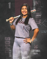 DHS_SB_V_Ind2-69