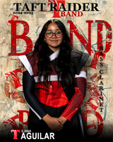 THSB_BC_IND2-01