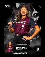 DHS_SB_JV_Ind1-4