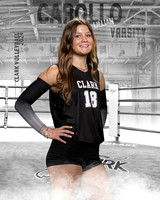 CHS_VAR_VB_IND1-38