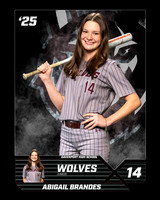 DHS_SB_V_Ind1-12