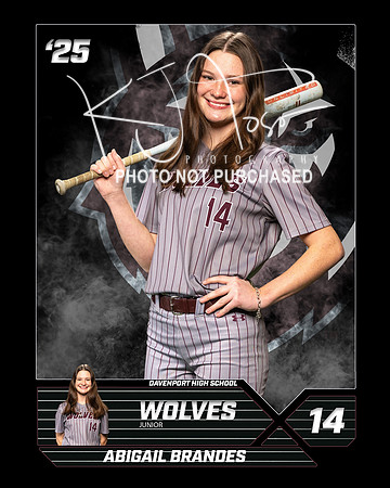 DHS_SB_V_Ind1-12