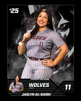 DHS_SB_V_Ind1-9