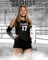 CHS_VAR_VB_IND1-37