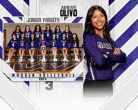 WHS_VB_JV_MM-3
