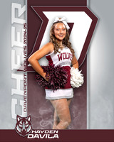 DHS_JV_CH_IND1-20