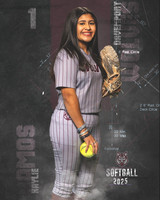 DHS_SB_V_Ind2-52