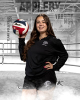 CHS_VAR_VB_IND1-80