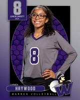 WHS_JV_VB_IND1-8
