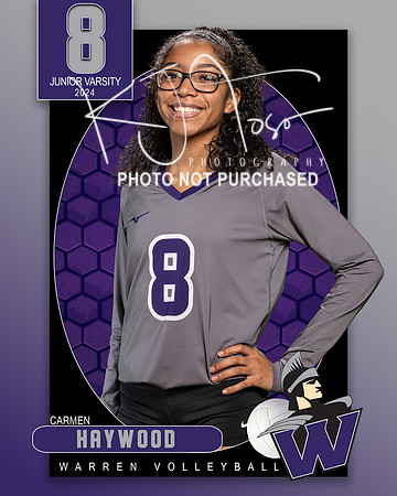 WHS_JV_VB_IND1-8