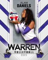 WHS_VB_Var_Ind1-81