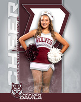 DHS_JV_CH_IND1-4