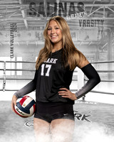 CHS_VAR_VB_IND1-77