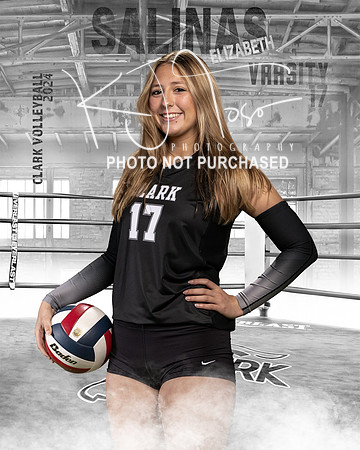 CHS_VAR_VB_IND1-77