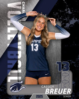 BHS_VB_Var_Ind1-87