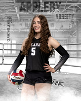 CHS_VAR_VB_IND1-65