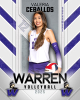 WHS_VB_Var_Ind1-63