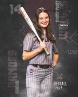 DHS_SB_V_Ind2-80