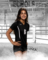CHS_JV_VB_IND1-6