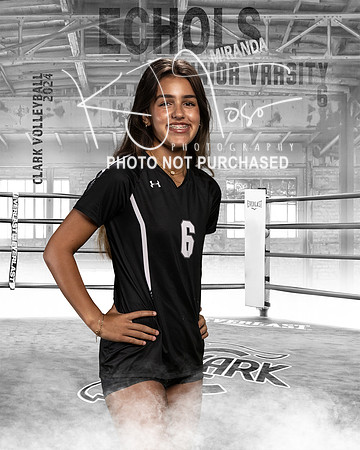 CHS_JV_VB_IND1-6