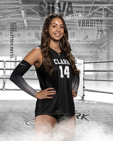 CHS_VAR_VB_IND1-34