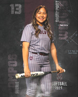 DHS_SB_V_Ind2-112