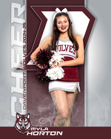 DHS_JV_CH_IND1-48