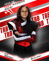 THSB_BBC_IND1-36