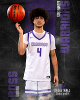 WHS_BB_Var_Ind-55
