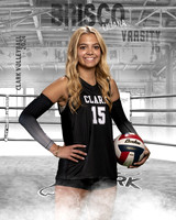CHS_VAR_VB_IND1-55