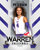 WHS_VB_Var_Ind1-55