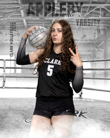 CHS_VAR_VB_IND1-85