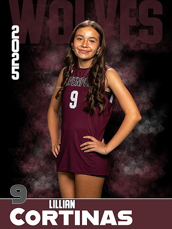 DHS_VB_JV_Ind1-9