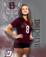 DHS_9th_VB_IND1-19