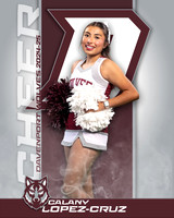 DHS_JV_CH_IND1-10
