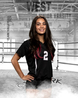 CHS_JV_VB_IND1-17