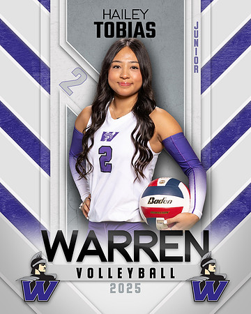 WHS_VB_Var_Ind1-53