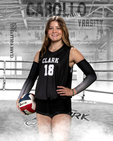 CHS_VAR_VB_IND1-78