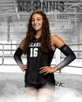 CHS_VAR_VB_IND1-16
