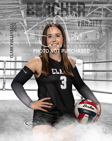 CHS_VAR_VB_IND1-43