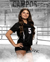 CHS_JV_VB_IND1-20